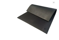 Fabrikpreis 3mm*1m*5m LKW-Bettmatte Münzmuster Runde Noppen Gummimatte zum Schutz des Garagenbodens