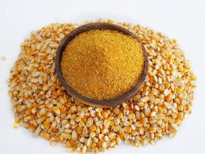 ข้าวโพด DDGS - ข้าวโพดกลั่นแห้งที่มีสารละลาย อาหารสัตว์และสารอาหารสัตว์ มีจำหน่ายเพื่อการส่งออก - Product Image 2