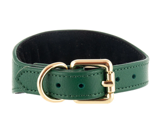 Collar de perro sabueso de cuero verde de alta calidad para galgo y Whippet - Product Image 1
