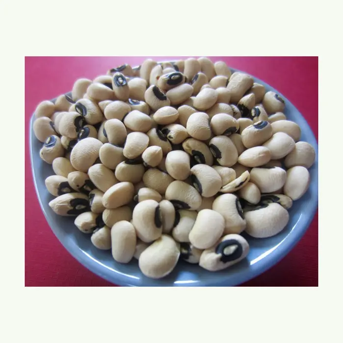 Fagioli piselli dagli occhi neri fagioli di Cowpea biologici