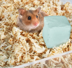 Fourniture en gros de sciures et de copeaux de bois naturels de qualité supérieure pour le confort des animaux - Product Image 5