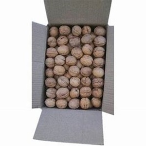 Nueces Orgánicas de Primera Calidad Secadas al Aire, Precio al por Mayor, Sin Cáscara, Estilo Fresco, Tostadas y Crudas, Empacadas en Bolsa - Product Image 6