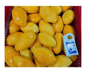 Hot Selling <b>Frozen</b> <b>Fruit</b> Ready to Export - <b>Frozen</b> Mango Cubes and Chunks Perfect For Nutritious Desserts, Smoothies, and Juice - Product Image 6