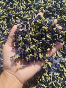 ดอกถั่วผีเสื้อพรีเมี่ยมแห้ง-นอกจากนี้ที่สวยงามและราคาไม่แพงสำหรับชาและสูตรของคุณ - Product Image 2