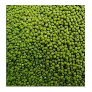 Cheap Price Supplier From Germany Moong Dal 3.8mm Big Size Vigna Beans Mung Dal Sprouting Green Mung Beans At Wholesale Price