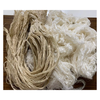 Fibre de feuille d'ananas de qualité d'exportation du Vietnam pour la filature, le tissage de produits capillaires et de tissus biodégradables