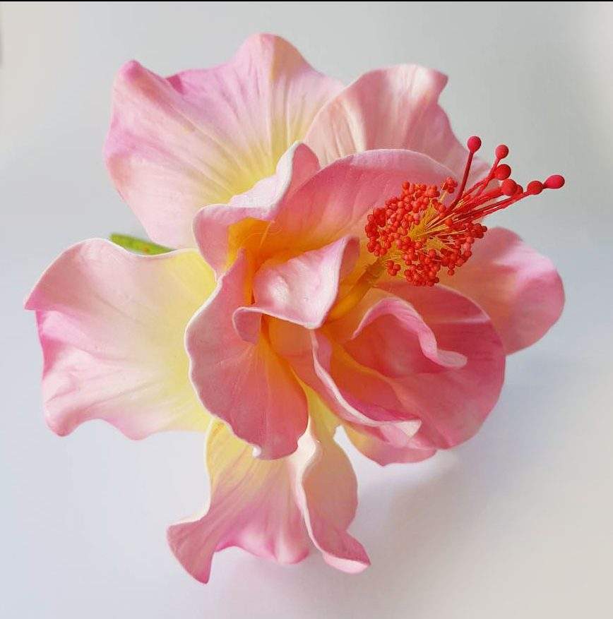 สีเหลือง prik