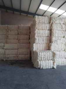 Fibre de sisal de qualité supérieure, écologique, fibre de sisal brute de haute qualité pour le filage et l'utilisation du béton - Product Image 5