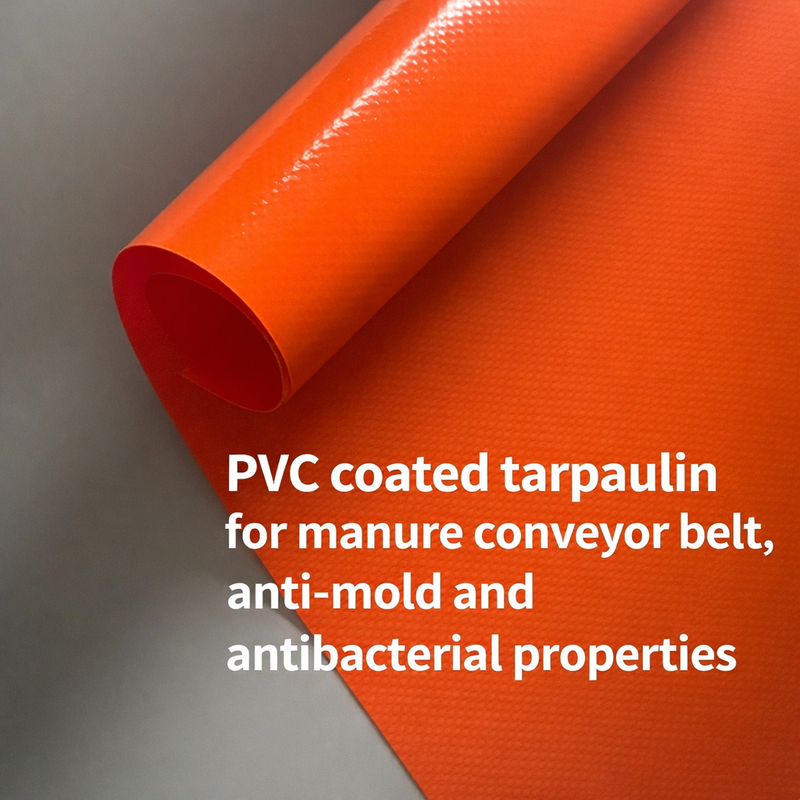 Hot Sale Abrasion Resistance Anti mold
