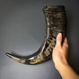 Cuernos para beber de búfalo orgánico de alta calidad Natural pulido y limpiado de India Diseño animal elegante - Product Image 6
