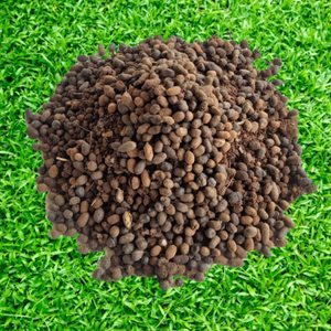 Poudre de fumier de chèvre pur, engrais organique pour le jardinage et l'agriculture, fabriqué en Inde - Product Image 5