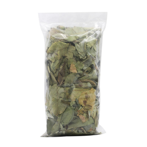 ทุเรียนเทศแห้งใบทั้งหมด, 100% อินทรีย์, guanabana - Product Image 5