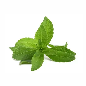 Groothandel Puur En Natuurlijk Stevia Blad In Bulk Gedroogde Stevia Bladeren | Kruidenthee | Stevia Bladeren | Gezondheidszorg
