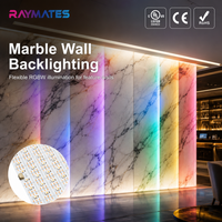 RAYMATES UL SPI 5V Pixel Flexible LED Sheet With RGBW IC Programmable Ultra Thin LED Sheet Light for Stone Backdrop Lighting