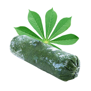 Paquete a granel de hojas de mandioca congeladas estándar de exportación Premium Origen de Vietnam - Product Image 1