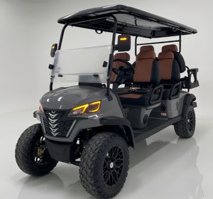 DERNIÈRE OFFRE EU 2025 2026 Buggy tout-terrain électrique, voiturette de golf, UTV PRÊT À ÊTRE EXPÉDIÉ - Product Image 3