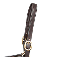 Licol rembourré à sangle réglable pour chevaux avec mousqueton à la gorge, design confortable