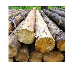 Madera de Okan asequible en venta, cantidad a granel disponible para exportadores, constructores y uso industrial - Product Image 4