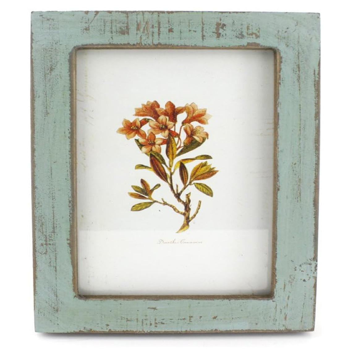 สีเทอร์ควอยซ์ล้าง