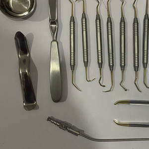 Turbina Odontologica Dental Manual Endodoncia Cirugía Oral Elevadores Juego de 13 piezas Implante Dental Instrumento Herramientas al por mayor - Product Image 5