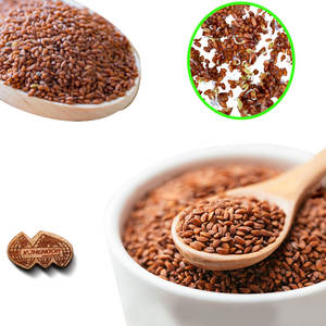 Cress | Approvisionnement botanique biologique pour les distributeurs alimentaires - Product Image 3