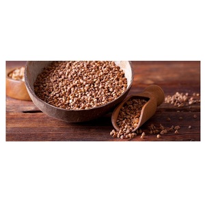 Sarrasin rôti de la meilleure qualité à vendre à bas prix Vente en gros Sarrasin rôti - Product Image 4