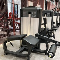 Máquina Comercial de Deltoides Posterior y Pectorales con Peso de 100 kg, Equipo de Entrenamiento de Fuerza con Carga de Pernos para Gimnasio Comercial