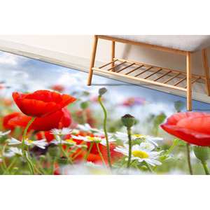 Alfombras de Amapolas Rojas, Alfombra con Diseño de Flor de Amapola, Alfombras Modernas, Alfombra Botánica, Alfombra Delgada No Tejida - Product Image 4