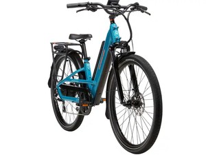 Bicicleta Eléctrica Todoterreno Rad ster Trail - 750W - 100 Nm Torque - Product Image 1