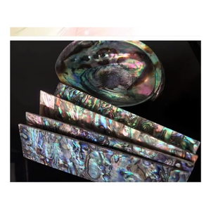 ชิปเปลือกหอยเป๋าฮื้อธรรมชาติจำนวนมากสำหรับฝังโปรเจกต์ในกีตาร์เครื่องประดับเรซินและศิลปะไม้ - Product Image 3