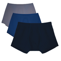 Nouvelle Collection 2025 – Caleçons Boxers Homme d'Été en Coton, Spandex et Modal, Anti-Bactériens, Taille Haute, Séchage Rapide, Usage Quotidien Décontracté – Très Demandés