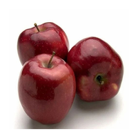 Pommes Fuji Fraîches de Qualité Supérieure en Promotion – Stockage Réfrigéré de Belgique, Couleur Rouge, Durée de Conservation de 6 Mois, En Vente