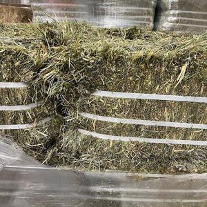 Heno de Alfalfa de Primera Calidad, Grado Alimenticio para Ganado, 100% Natural, Alto en Proteínas, 25 kg/bolsa - Product Image 3