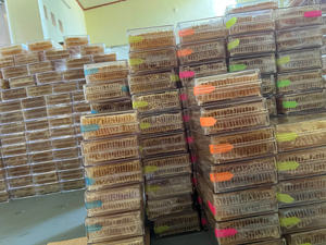 Panal crudo natural vietnamita Premium al por mayor puro y seguro para consumo humano - Product Image 5