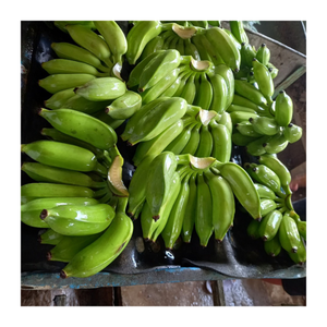 สไลซ์กล้วยแช่แข็ง IQF พรีเมี่ยมของเวียดนามสำหรับทำเบเกอรี่ขนมสมูทตี้และส่งออก - Product Image 1