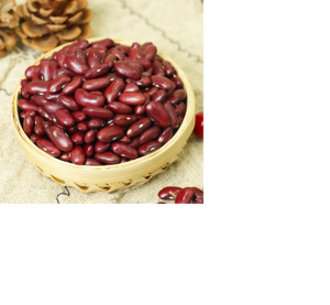 Haricots rouges séchés de haute qualité pour la santé, forme allongée, rouge foncé, 60 % de protéines, durée de conservation de 2 ans - Product Image 2