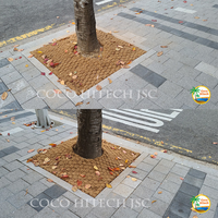 PROTÉGER LES ARBRES DE RUE AVEC DU COIR MULCH MAT DU VIET NAM