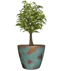 Jardinière de décoration de balcon pour jardin, jardinière en métal d'intérieur pour table et sol, salon, salle de séjour - Product Image 1