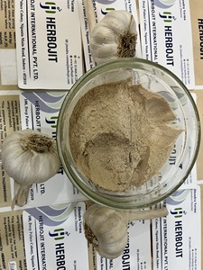 Meilleure vente de poudre d'ail frais déshydraté de qualité alimentaire pour une bonne santé disponible au prix de gros pour l'exportation depuis l'Inde - Product Image 4