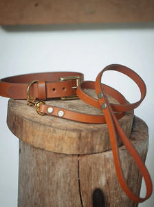 <b>Dog</b> <b>Collar</b> & Leash Set - 30mm Wide - Tan - Product Image 3