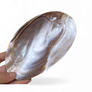 Plat en nacre pour servir de petits desserts, plateau à bijoux et décoration d'intérieur, fabriqué au Vietnam - Product Image 1