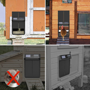 <span class=keywords><strong>Porte</strong></span> de <span class=keywords><strong>poulailler</strong></span> automatique alimentée par énergie solaire électrique 5000mAh minuterie capteur de lumière télécommande conception anti-pincement <span class=keywords><strong>porte</strong></span> de <span class=keywords><strong>poulailler</strong></span> - Product Image 4