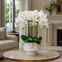 Orchid Phalaenopsis Buatan Sentuhan Realistis untuk Dekorasi Hotel dan Interior
