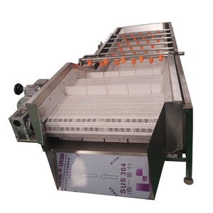 Machine à laver les fruits et légumes multifonctionnelle industrielle neuve avec moteur de haute qualité - Product Image 4