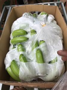 กล้วยสดจากธรรมชาติผลไม้เมืองร้อนพรีเมี่ยมเพื่อสุขภาพหวานธรรมชาติพร้อมรับประทานคุณภาพดีกว่า - Product Image 3