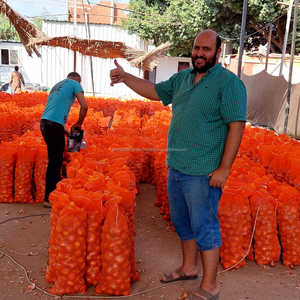 Meilleur prix d'aujourd'hui pour IC Onion en Egypte - Product Image 5