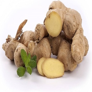 Jengibre fresco disponible Entrega rápida En stock Mejor precio Compre Jengibre fresco para cocinar Precio al por mayor disponible para la venta - Product Image 5