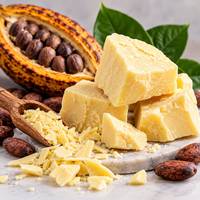 Beurre de cacao cru de qualité alimentaire en vrac pour l'exportation en sac pour les fabricants de chocolat, les producteurs de confiserie et les acheteurs internationaux