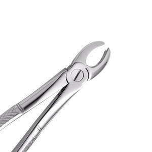 Fórceps de extracción dental con acabado satinado No. 150 y 151 Fórceps manuales de cirugía oral con mango curvo dentado - Product Image 3