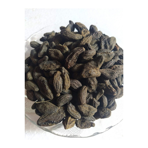 สมุนไพรธรรมชาติสดขายดีที่สุด Chebula Terminalia Chebula (BAL hirda/himaj) 25กก. ในราคา Herbojit นานาชาติ - Product Image 5